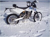 Beamer in the snow.jpg