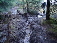 Mud 2.JPG