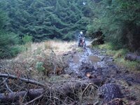 Mud 3.JPG
