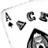 aim5.gif
