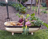trug-004.jpg