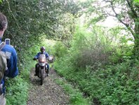 off road 12.jpg