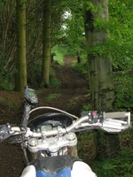 off road 16.jpg
