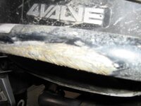 IMG_0369.jpg