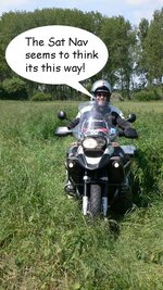 long grass.jpg