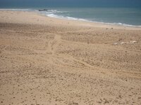 IMG_0913.jpg
