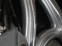 IMG_2628.jpg