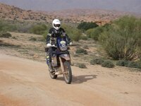 IMGP4123 (Small).JPG
