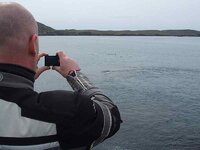 Beara Run (111).jpg
