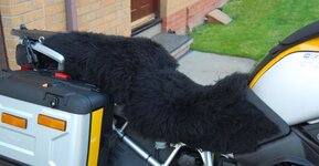 bmwlambswool1.jpg
