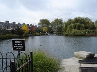 DSC00863.jpg