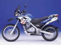 bmw_f650gs_dakar_650.jpg