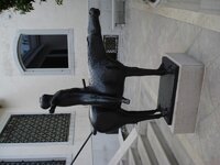 DSC02032.jpg