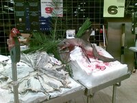 05062008.jpg 05062008.jpg