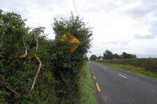 Sign 2.jpg
