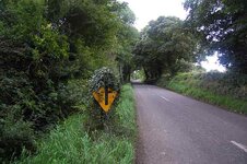 Sign 1.jpg