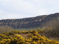 Picture 008.jpg