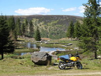 IMG_0968_1_1.jpg