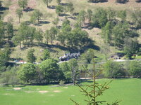IMG_0970_1.jpg