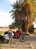 IMG_0990Small.jpg