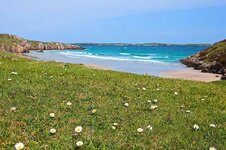 IMG_0203.jpg