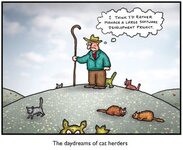 herding cats.jpg