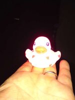 duck.jpg
