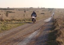 DSC01815.JPG