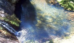 PICT0324.jpg