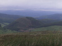IMAG0055.JPG