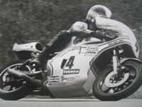 suzuki h.jpg