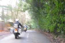 IMG_0533.jpg