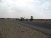 IMG_0940.jpg