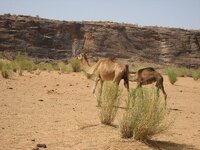 IMG_0960.jpg
