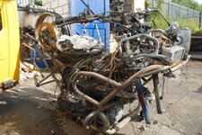 DSC_0172.jpg