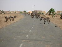 IMG_0970.jpg