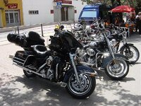 misc 078.jpg