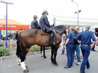 Police Horses 20609.jpg