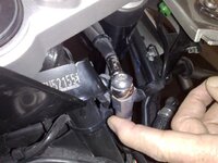 20090214208.jpg