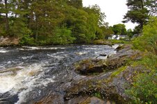 DSC_4694.jpg