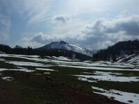 DSCF0770 (Small).JPG