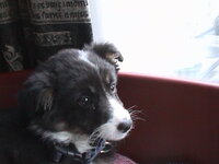 DSC01106.JPG