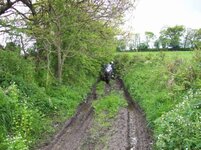 100_0276.jpg