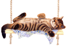 swing_cat.gif