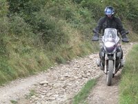 IMG_2129.jpg
