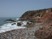 DSCF1236 (Small).JPG