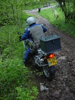 DSC00864.jpg