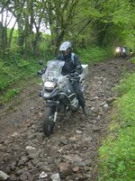 DSC00868.jpg