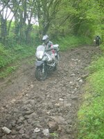 DSC00870.jpg