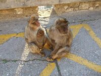 DSCF1379 (Small).JPG